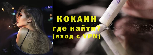 молекула духа Касимов