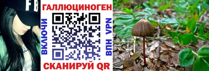 Купить закладки  Великий Устюг  Псилоцибиновые грибы MAGIC MUSHROOMS 